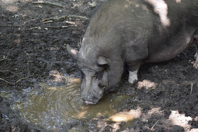 传记作者：莱万年少时常因身材自卑；他与渣叔的关系起初不好